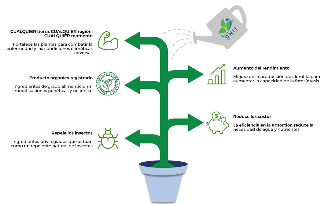mx-infographic mx-infographic
